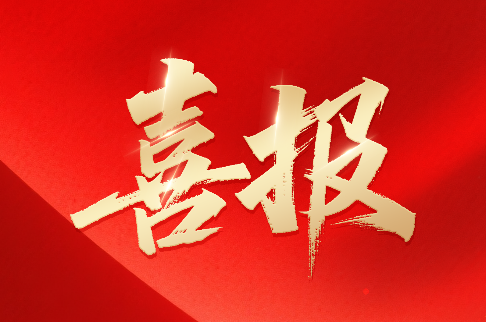 pg电子模拟器在线｜喜报！公司荣获2024年拼搏奋进·衢州市长特殊奖市政府质量奖