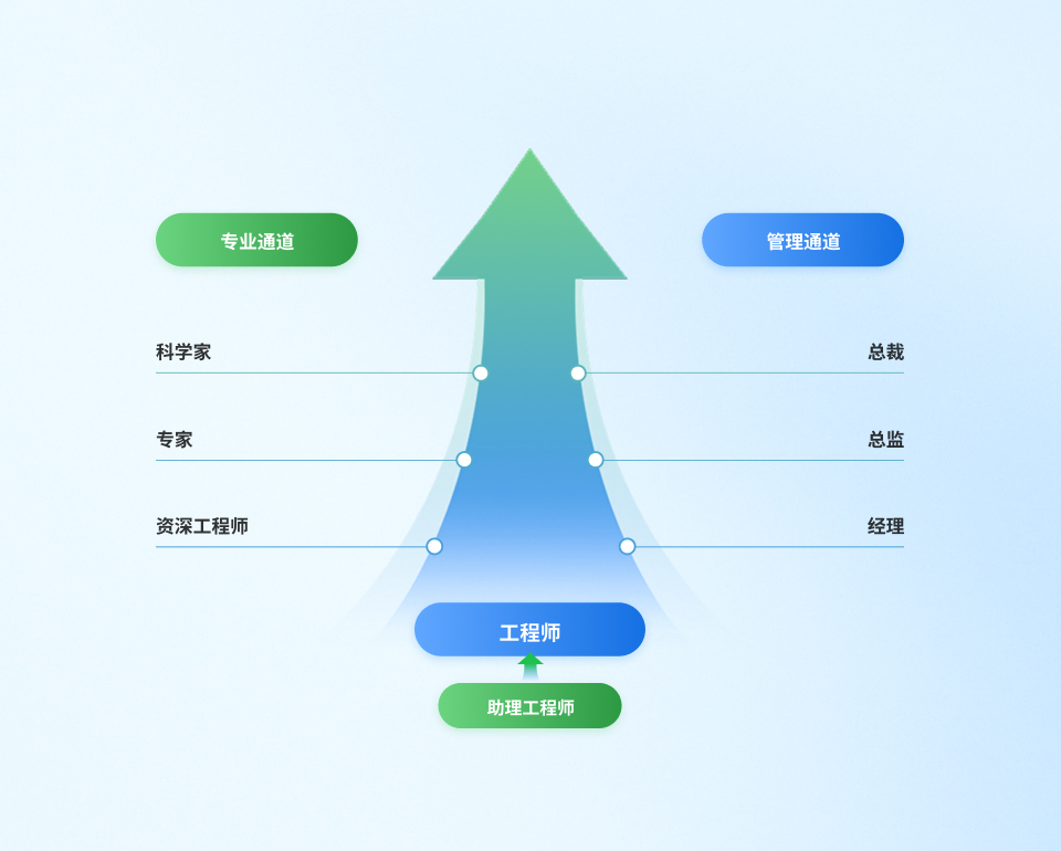 职业生长